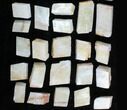 Flat: - Cleaved, Rhombohedral Calcite - Pieces #104679-2